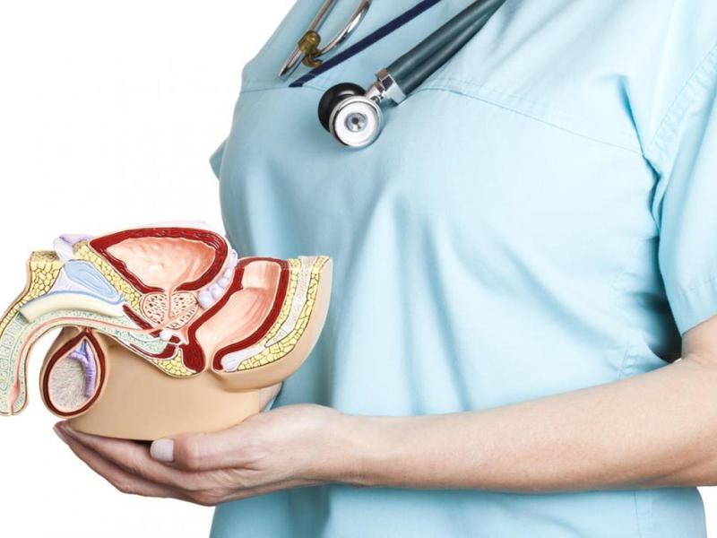 Bệnh lý tuyến tiền liệt