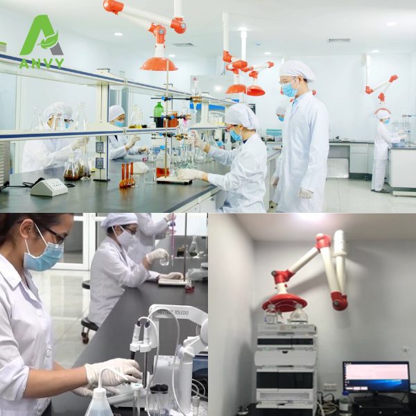 cao dược liệu Anvy